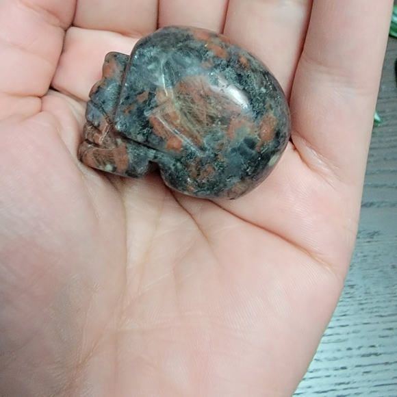 Skull - Picture 4 of 6